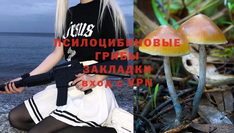 Псилоцибиновые грибы Magic Shrooms  Камбарка 